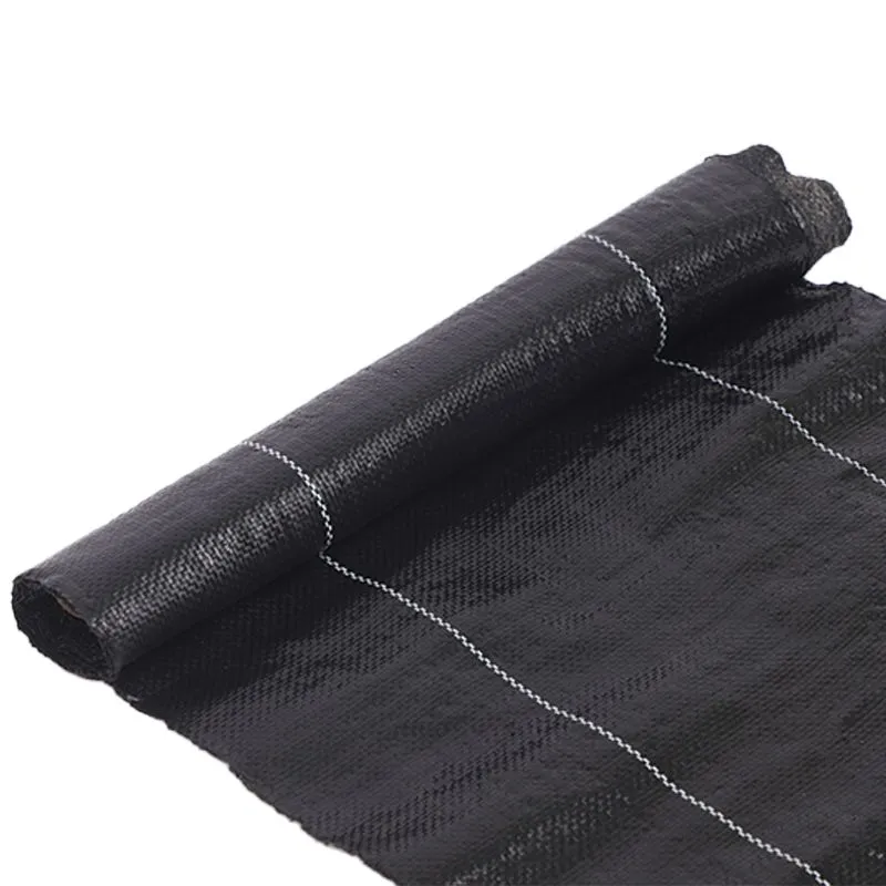 product-800-800
